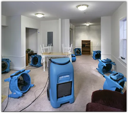 Water Damage Restoration services in Tacoma, WA