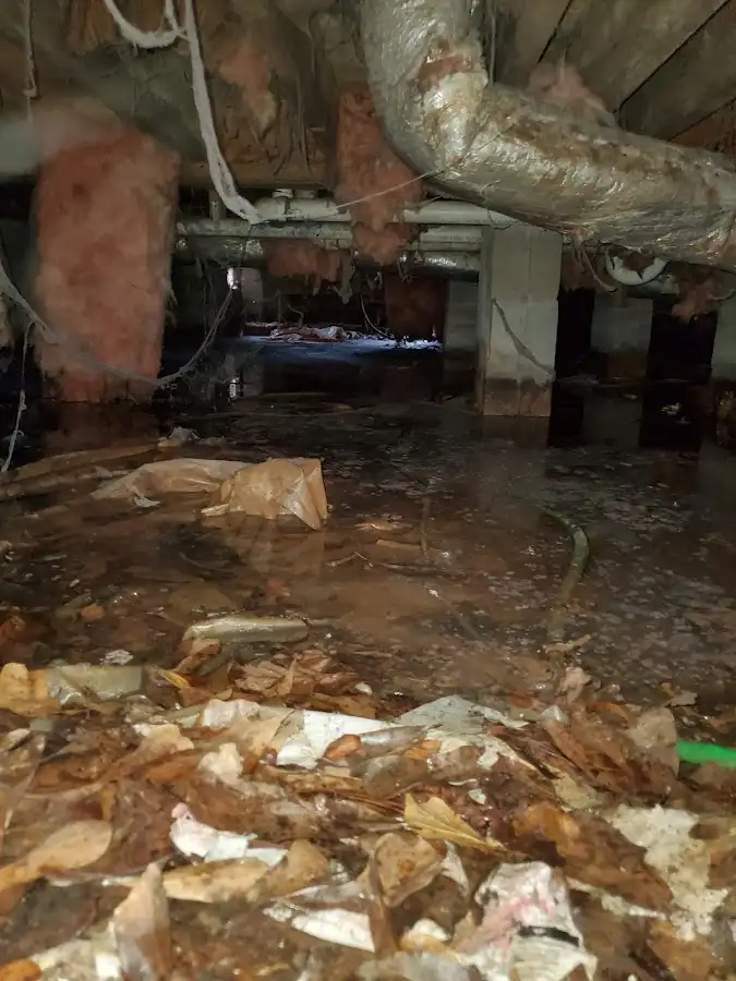 Crawl space flood assessment for Leak Detection & Repair in Tacoma
