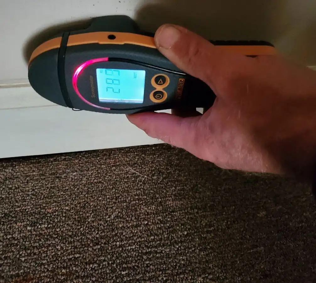 Moisture detection at baseboard during Burst Pipe Cleanup in Tacoma